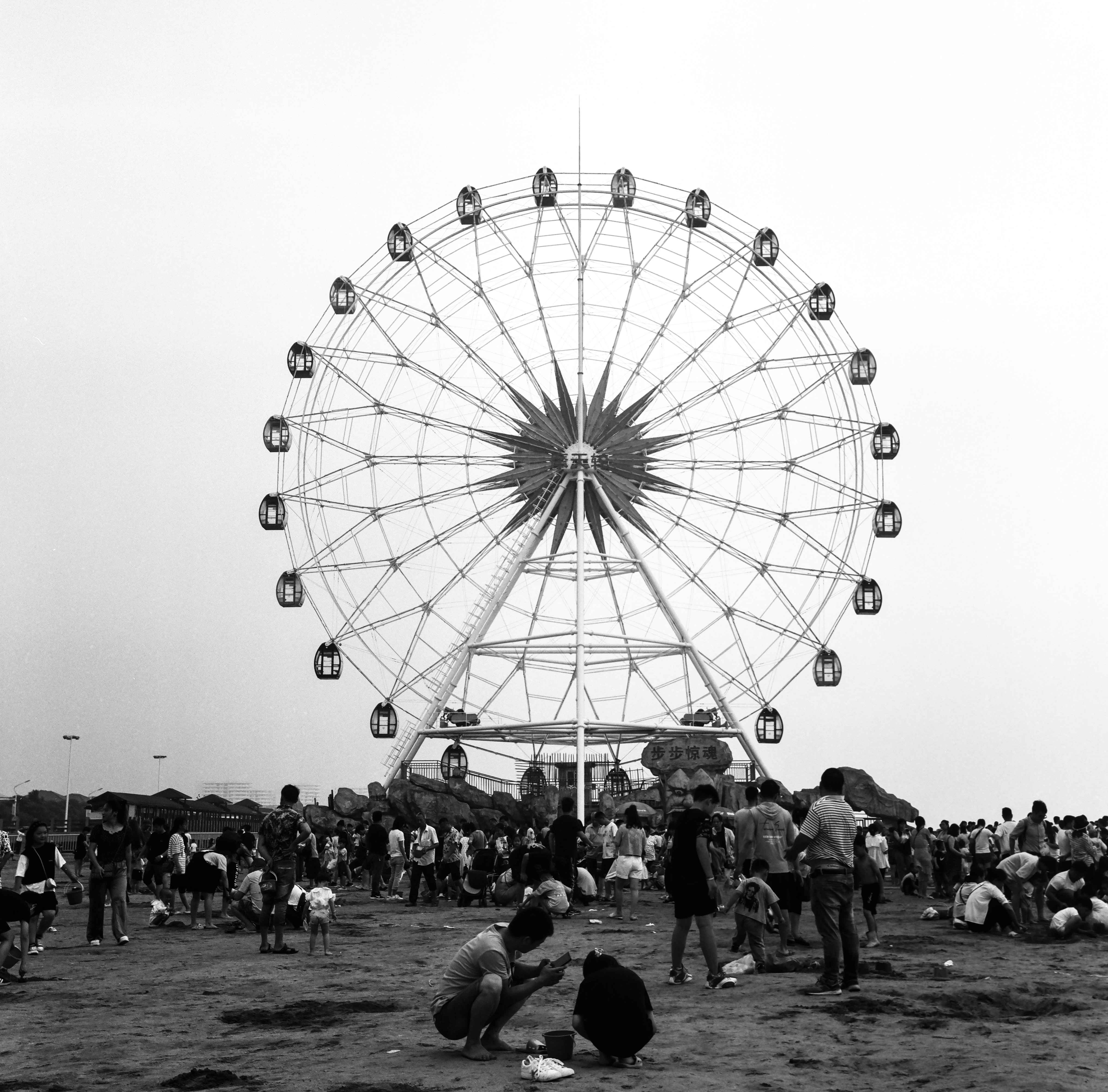 people walking on park with ferris wheel in the background